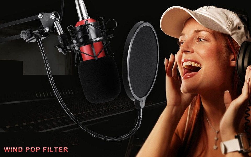 Wind Pop Filter for Microphone with Adjustable Arm